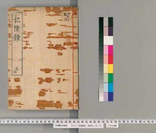 Record of Memory [3]