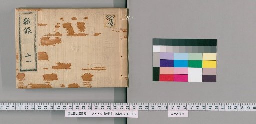 Miscellaneous Records [11]