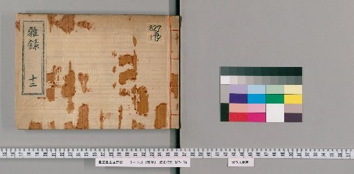 Miscellaneous Records [12]