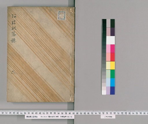 Fallen Grain of Millet, Vol. 3 [2]