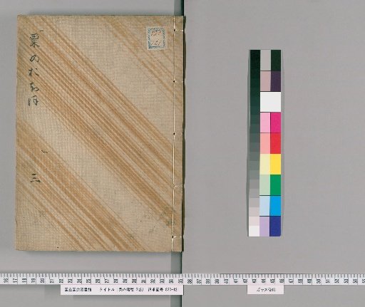 Fallen Grain of Millet, Vol. 3 [3]