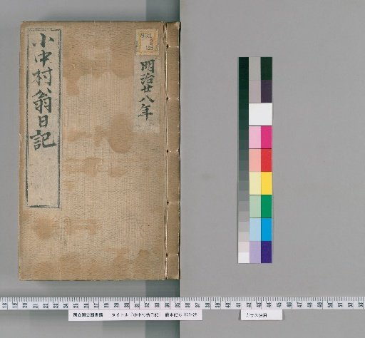 Diary of Old Man Onakamura, Meiji 28