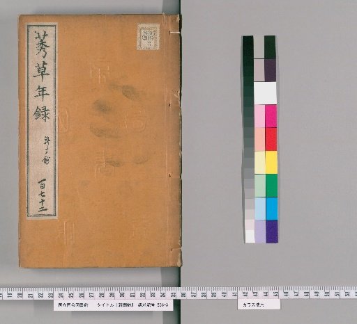 Newspaper Transcripts [19]