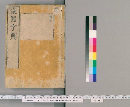 Kangxi Dictionary, 42 volumes, with Supplement to the Dictionary, 1 volume, and Dictionary Primer Index, 1 volume [3]