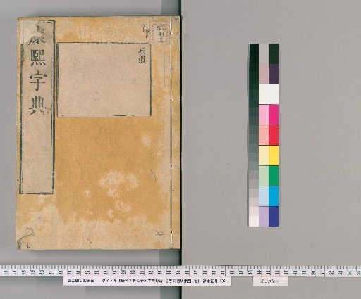 Kangxi Dictionary, 42 Volumes, with Supplement and Beginner's Index [5]