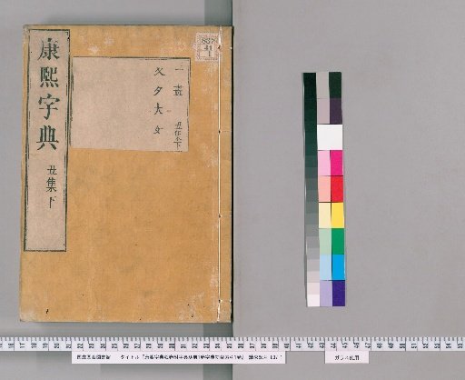 Kangxi Dictionary, 42 volumes, with Dictionary of Fragments, 1 volume, and Dictionary for Beginners' Index, 1 volume [11]