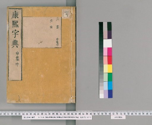 Kangxi Dictionary, Vol. 42, with 1 vol. of Dictionary Fragments, 1 vol. of Dictionary Primer Index [31]