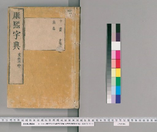 Kangxi Dictionary, 42 volumes, with Dictionary Zhuoxie 1 volume and Dictionary Primer Index 1 volume [40]
