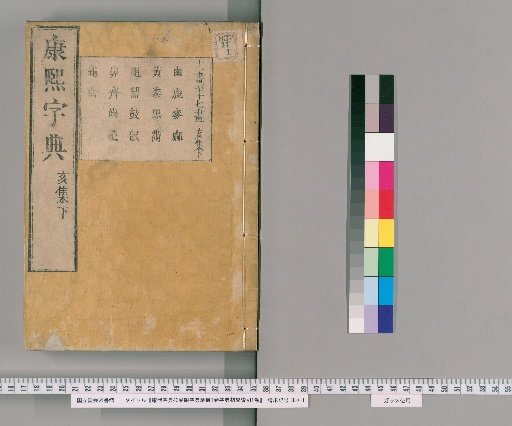Kangxi Dictionary, 42 Volumes with Appendix: Fragments of the Dictionary and Beginner's Index [41]