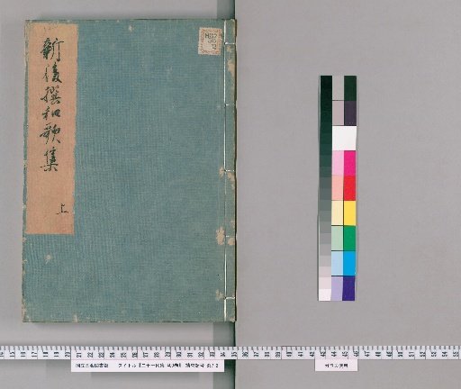 Collection of Twenty-One Generations, 400 Volumes [26]