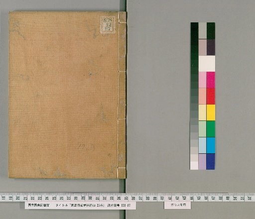 Iemasa's Diary, Supplement and Additions, 25 volumes [9]