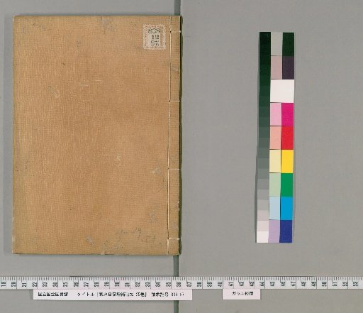 Iemasa's Diary, Supplement and Additions, 25 volumes [10]