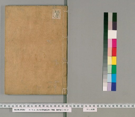 Iemasa's Diary, Supplement and Additions, 25 volumes [11]