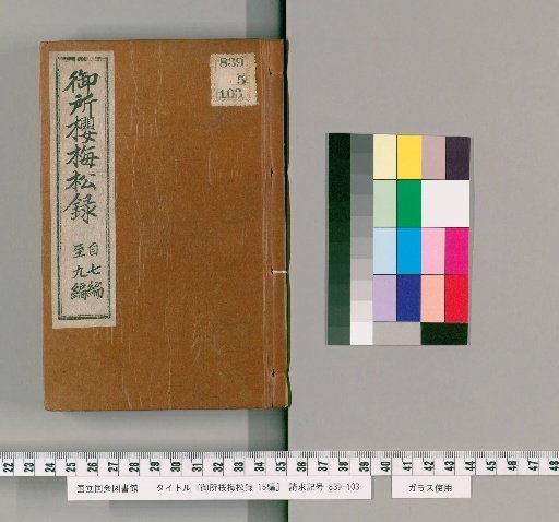 Record of Palace Cherry, Plum, and Pine, Part 15 [3]