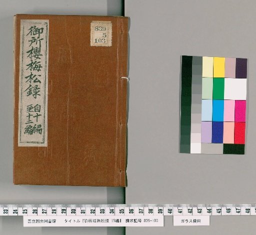 Record of Palace Cherry, Plum, and Pine, Part 15 [4]