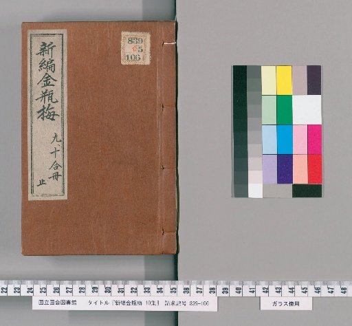 New Edition of The Golden Lotus, Collection 10 [5]