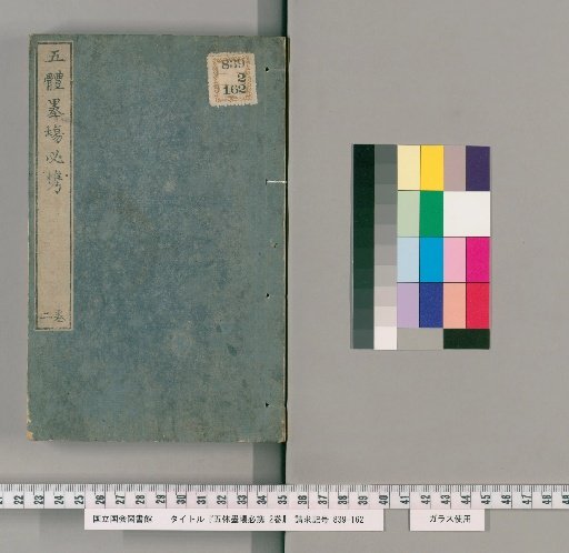 Five-Style Ink Field Essential Companion, 2 Volumes [2]