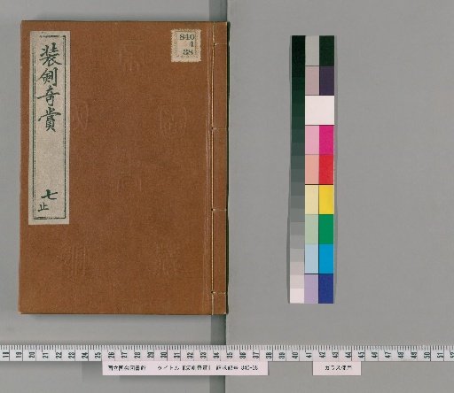 Strange Appreciation of Swords and Scabbards, Vol. 7 [4]