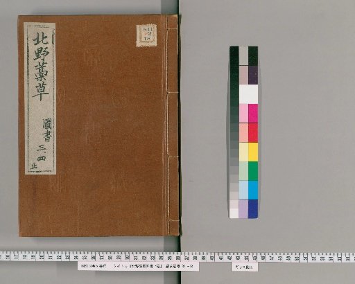 Northern Temple Manuscript Collection, 4 Volumes [2]
