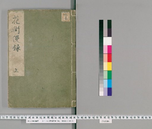 Random Records of the Flower Districts, Vol. 2 [1]