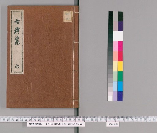 Collection of Women's Etiquette, 10 volumes [6]