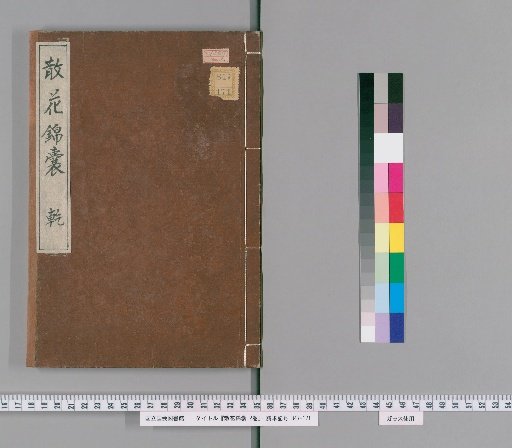 Scattered Flower Brocade Pouch, 2 volumes [1]