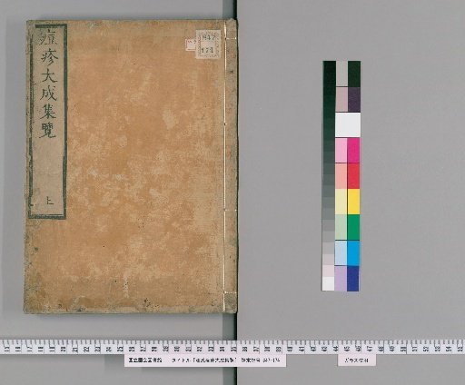 The Collected Works of Wang's Smallpox and Rash Treatments