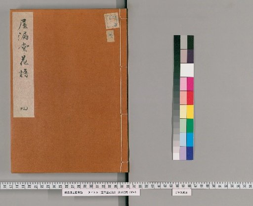 Yurakudo Flower Catalog, Part 4