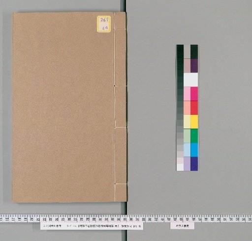 Epigraphic Records, 27 Volumes; Epigraphic Continuations, 21 Volumes; Appendices to Epigraphic Records, 1 Volume [8]