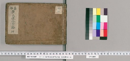Two Volumes of the Cui Family's Treatise on Smallpox by Censor Xue [2]