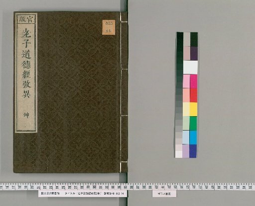 Examination of Variants in the Tao Te Ching, 2 Volumes [2]
