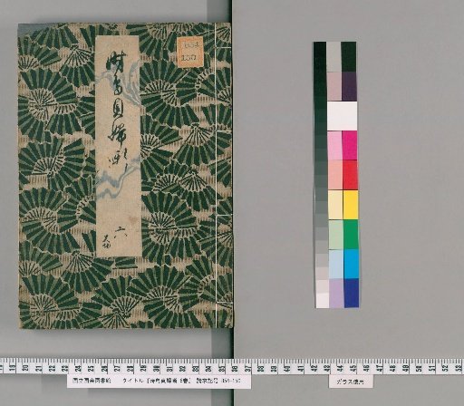The Cuckoo and the Chaste Wife, 6 vols. [6]