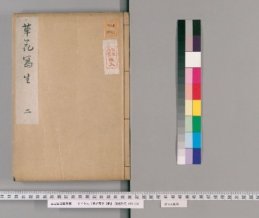 Sketches of Grass and Flowers, 2 Volumes [2]