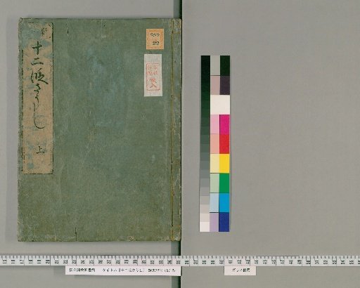 Twelve-Stage Sausi [1]