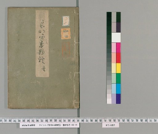 Tale of the Forest of Songs: Four Seasons, 12 vols. [4]