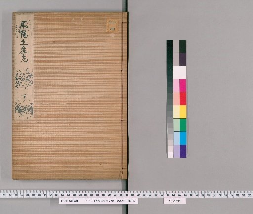 Oyo Production Record, Vol. 2 [2]