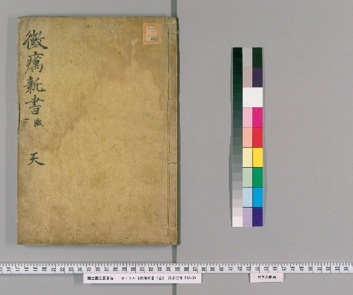 New Treatise on Leprosy, 2 volumes [1]