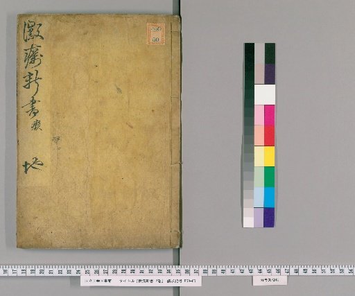 New Treatise on Leprosy, 2 volumes [2]