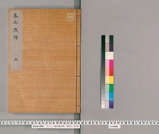 Spring Mountain Fish Catalog, 10 volumes [5]