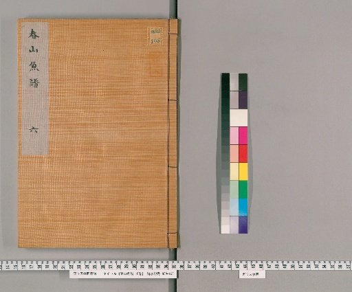 Spring Mountain Fish Catalog, 10 volumes [6]