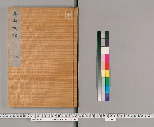 Spring Mountain Fish Catalog, 10 volumes [8]