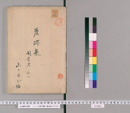 Collection of Dream Traces [5]