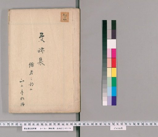 Collection of Dream Traces [8]