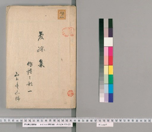Collection of Dream Traces [13]