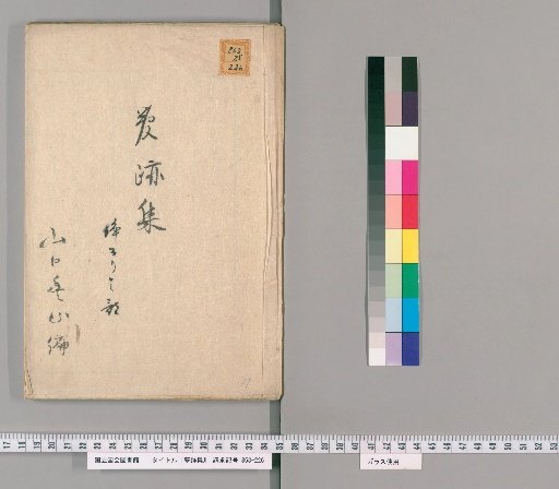 Collection of Dream Traces [19]