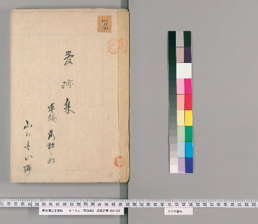 Collection of Dream Traces [20]