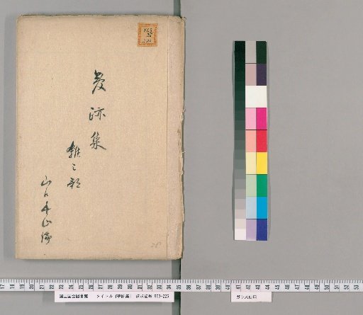 Collection of Dream Traces [28]
