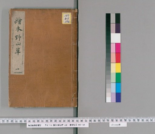 Picture Book of Wild Plants and Grasses, 5 Volumes [1]