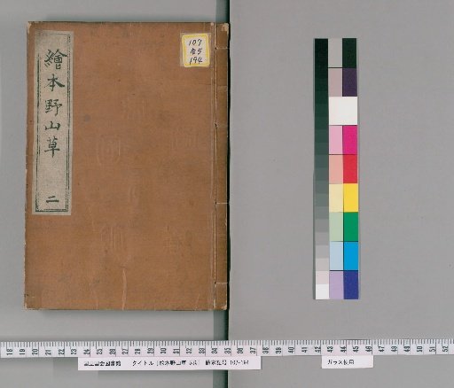 Picture Book of Wild Plants and Grasses, 5 Volumes [2]