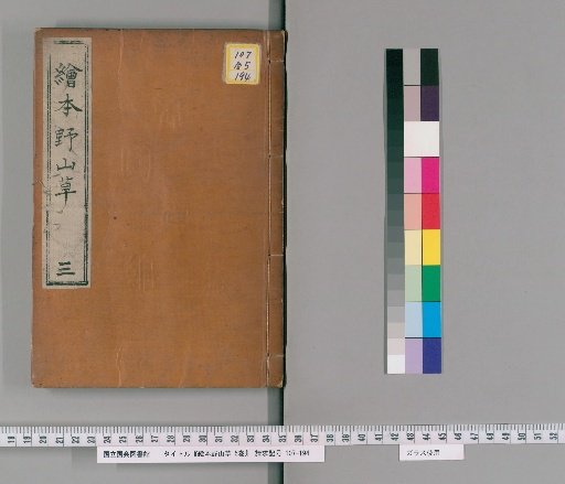 Picture Book of Wild Plants and Grasses, 5 Volumes [3]